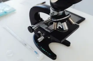 Google dan Meta Danai Proyek Sel Virtual Biohub di Amerika Serikat