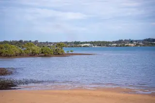 Ilustrasi: Pemandangan pesisir dengan pepohonan mangrove dan perairan yang tenang di bawah langit berawan.