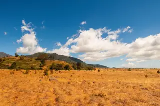 Ilustrasi: Padang savana berumput kering kecokelatan di kaki bukit di bawah langit biru berawan.