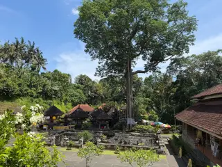 Ilustrasi: Kompleks pura di Bali yang dikelilingi pepohonan rimbun dan pohon besar di bawah langit cerah.