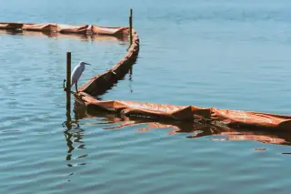 Ilustrasi: Seekor burung bangau putih bertengger di atas pembatas perairan berwarna oranye di laut tenang.
