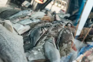 Ilustrasi: Berbagai jenis ikan segar tersusun di atas hamparan es di etalase kaca.