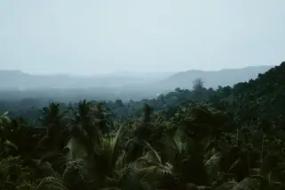 Prabowo Bahas Penanganan Karhutla Saat Asap Selimuti Musi Rawas