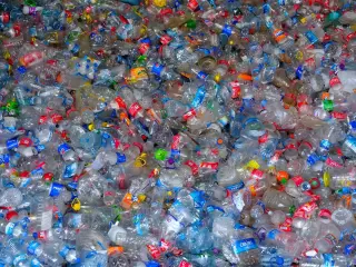 Ilustrasi: Tumpukan botol plastik bekas transparan berbagai merek yang siap didaur ulang.