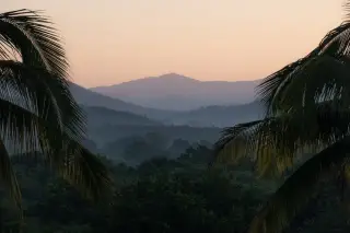 Ilustrasi: Pemandangan perbukitan berkabut dengan pepohonan tropis dan daun kelapa di latar depan saat senja.