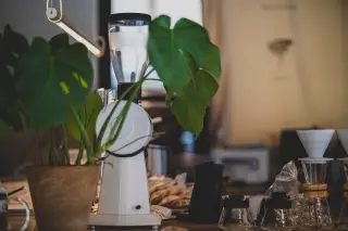 Ilustrasi: Mesin penggiling kopi, alat seduh manual, dan tanaman hias di atas meja bar kafe.