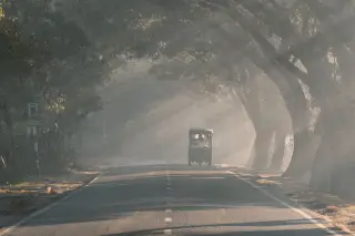 Ilustrasi: Sebuah kendaraan roda tiga melintasi jalan beraspal berkabut di bawah naungan pohon.