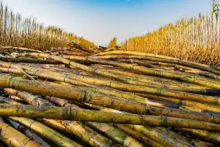 Kejagung Periksa Empat Saksi dalam Kasus Kawasan Hutan Lampung