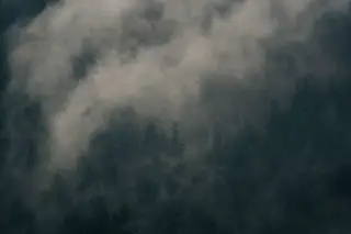 Ilustrasi: Kabut tebal menyelimuti lereng hutan dengan pepohonan yang rimbun.