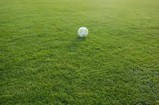 Ilustrasi: Sebuah bola sepak berada di tengah hamparan lapangan rumput hijau.