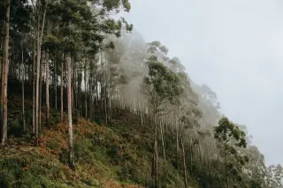 BMKG Deteksi Kabut Asap Karhutla di 26 Wilayah Indonesia