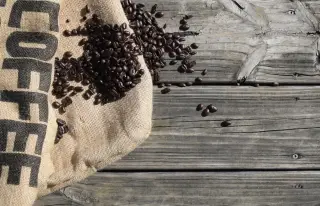 Ilustrasi: Biji kopi sangrai tertumpah dari karung rami di atas permukaan papan kayu.