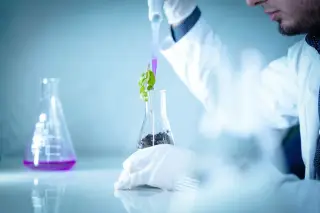 Ilustrasi: Petugas laboratorium meneteskan cairan ke labu erlenmeyer berisi tanaman kecil.