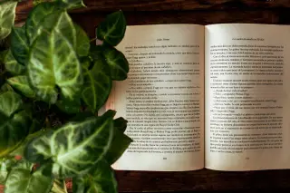 Ilustrasi: Buku terbuka terletak di atas meja kayu di samping tanaman berdaun hijau.