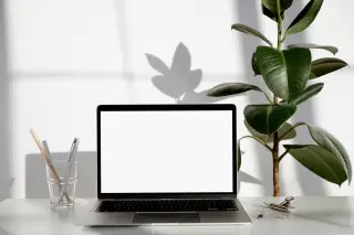 Ilustrasi: Laptop berlayar putih di atas meja putih bersanding dengan tanaman hias dan wadah alat tulis.
