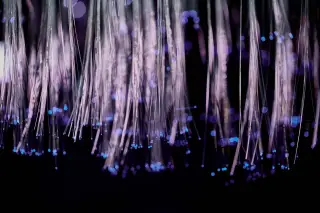 Ilustrasi: Untaian serat optik menyala dengan efek bokeh ungu dan biru pada latar gelap.