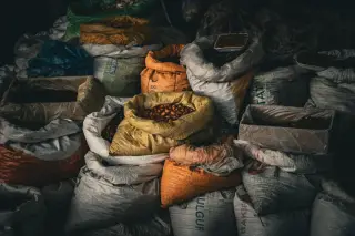 Ilustrasi: Tumpukan karung berisi aneka biji-bijian dan hasil bumi di pasar.