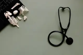 Ilustrasi: Stetoskop hitam, model tulang kecil, dan bagian keyboard di atas permukaan meja hijau.