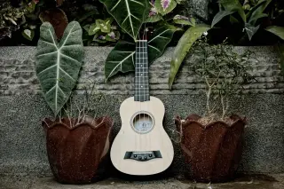 Ilustrasi: Sebuah ukulele kayu bersandar di antara dua pot tanaman berlatar dedaunan hijau.
