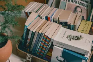 Ilustrasi: Deretan buku bacaan tertata rapi di dalam koper terbuka dekat tanaman hias.