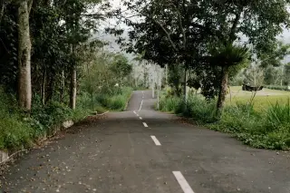 Ilustrasi: Jalan aspal sepi yang diapit pepohonan rimbun dan area persawahan.