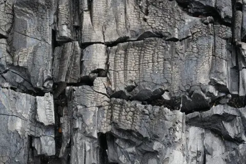 Ilustrasi: Tampilan jarak dekat dari tekstur permukaan kayu yang hangus terbakar dan retak-retak.