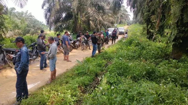 PT. BBIP Tetap Memanen Sawit di Lahan Sengketa, Warga Akan Halangi Apapun yang Terjadi