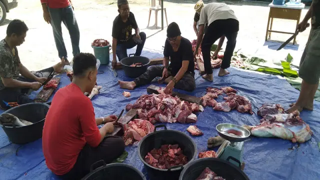 Panitia Qurban PWI Jambi Sembelih Dua Ekor Sapi