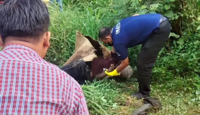 Lansia Ditemukan Tewas di Pinggir Jalan