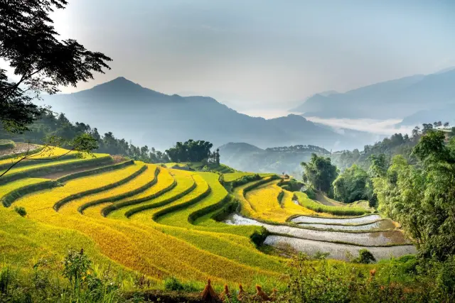 DPR Sahkan UU Reforma Agraria dalam Paripurna di Jakarta