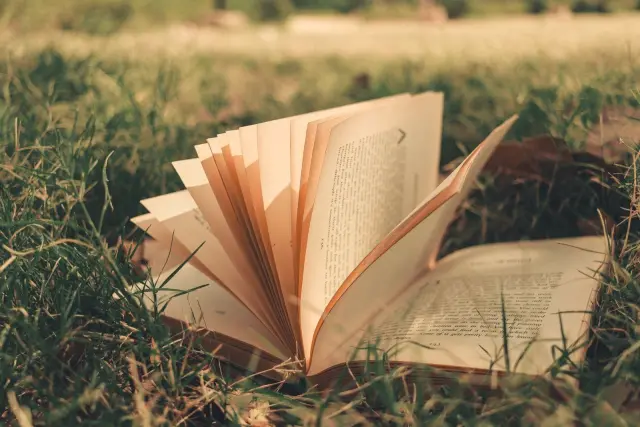Pesta Literasi Indonesia Berlanjut di Urban Forest Cipete