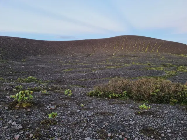 Gunung Ili Lewotolok Catat 183 Gempa Erupsi di Lembata