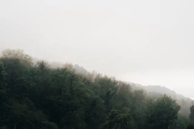 Kabut Asap Masih Menyelimuti Sampit, Bupati Evaluasi Pemadaman