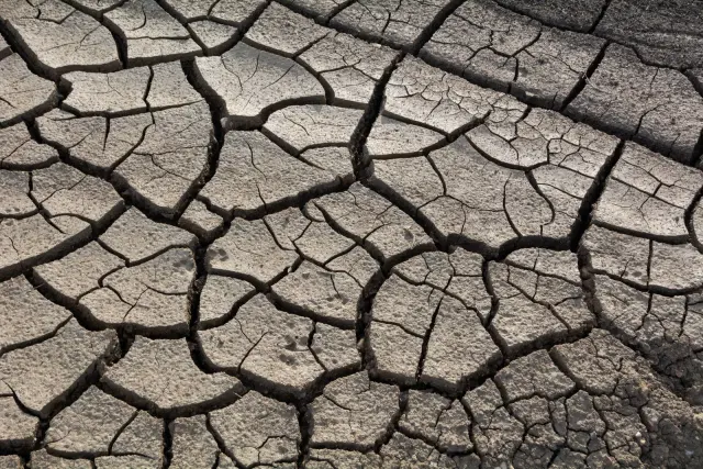 El Niño Tekan Ekonomi Indonesia dan Perlebar Ketimpangan