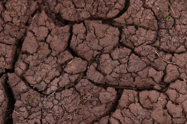Mendagri Minta Kepala Daerah Larang Pembakaran Lahan Saat Darurat Karhutla