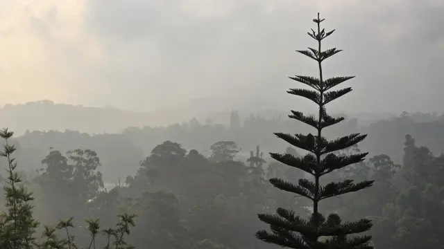 BMKG Pantau Sebaran Asap Karhutla dari Sumatra hingga Papua