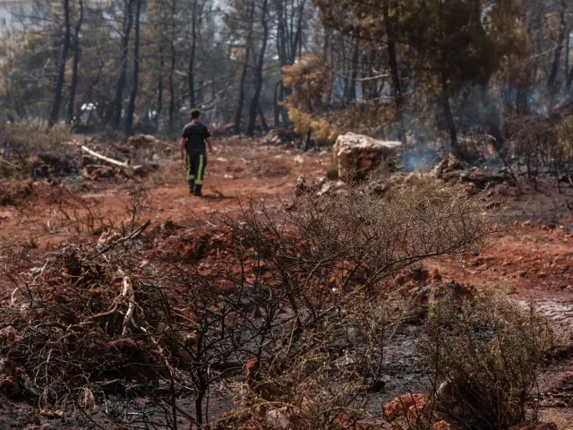 BNPB Catat 7.219 Hektare Karhutla Masih Terbakar di Sumatra