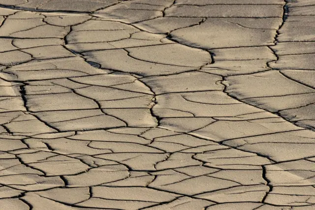 Kadin Catat 44,5% Usaha Belum Siap Hadapi El Nino