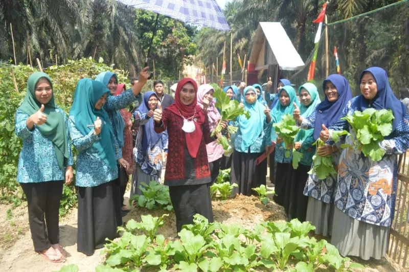 Faradilla Zahara Bachyuni Buka Penilaian lomba PKK Desa Bukit Makmur || KMJ