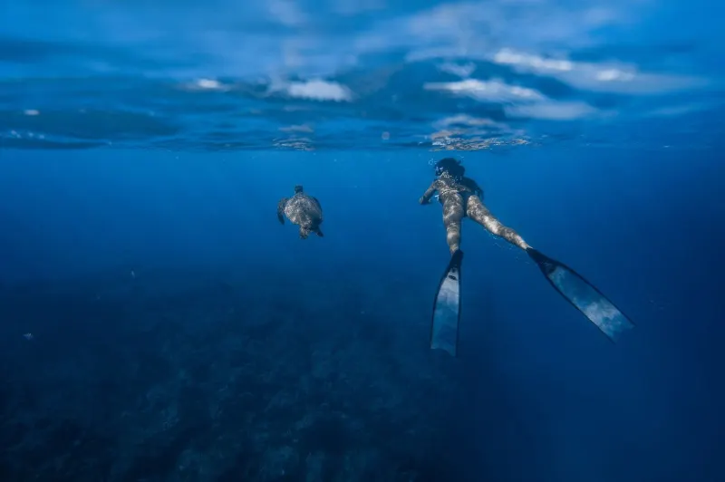 Kemenpar Gelar Sertifikasi Pemandu Snorkeling di Labuan Bajo